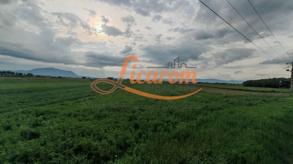 Teren Stupini Calea Feldioarei 4600 mp,21 euro/mp, front asfalt-DN13 - Poză 3