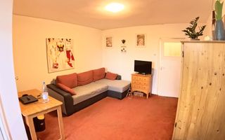 Apartament 1 cameră - cartier Aleea Carpați, zona Bazinul Olimpic - Poză 3