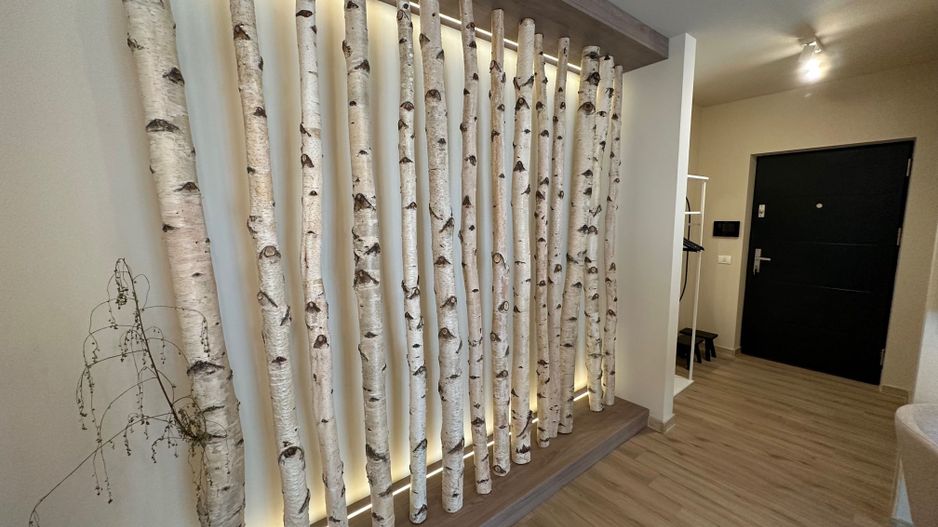 Apartament deosebit  2 camere zona Lipovei - Poză 7