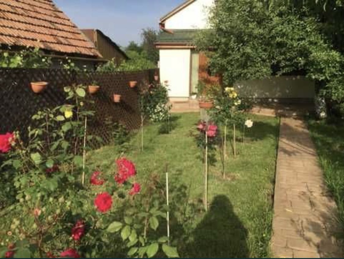 Casa la cheie 4 camere Carei gradina viilor - Poză 3