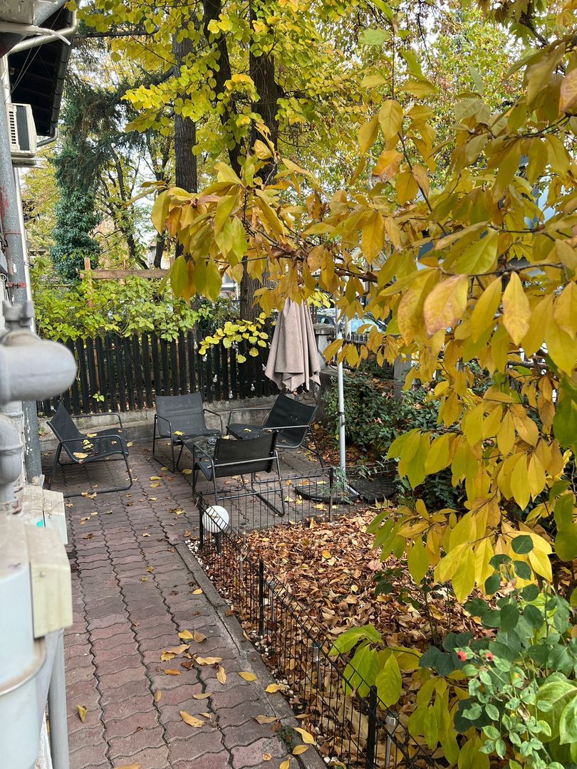 SPATIU DE BIROURI | ARCUL DE TRIUMF | MOBILAT | GRADINA CU TERASA - Poză 16