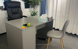 Apartament 3 camere, renovat, pretabil firmă, Națiunile Unite - Poză 16