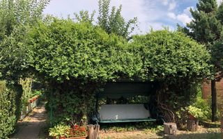 BRASADAS vinde casa cu 7 camere si teren 1100mp in zona Burdea. - Poză 20