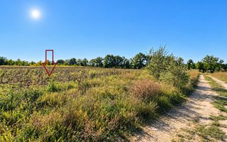 TEREN PENTRU INVESTIȚIE – 17 ARI | CHETROSU, ANENII NOI |  DESTINAȚIE: CONSTRUCȚII - Poză 5