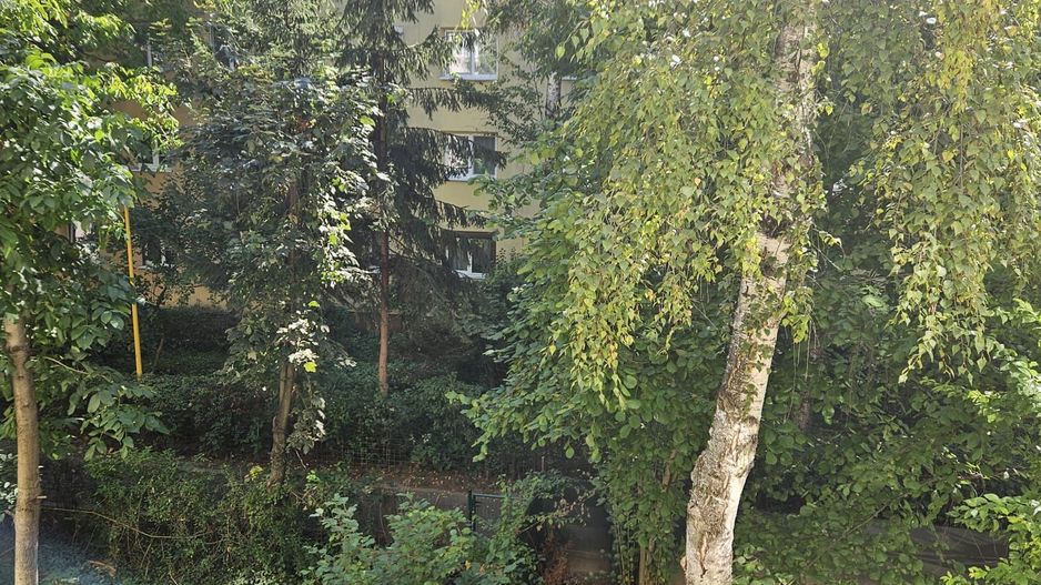 Apartament 3 camere  parc Somesul - Poză 9
