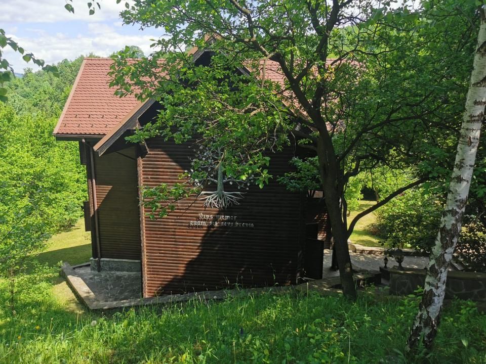 Casa de vacanta deosebita Breaza- Nistoresti - Poză 27