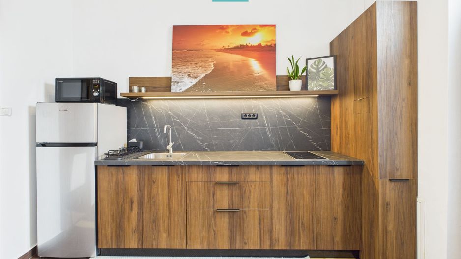 Apartament cozy cu o cameră, zona centrală - Poză 4