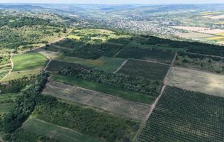 Teren de 0.28 Hectare cu Iaz propriu, lângă pădure – Vorniceni, Strășeni!
