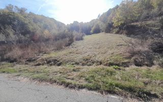 TEREN DE VANZARE IN BABANA, ARGES,  LANGA PADURE - Poză 5