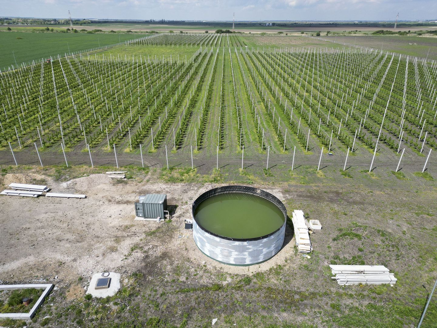 Oportunitate investiție: Livadă de Cireși și Hală - Poză 8