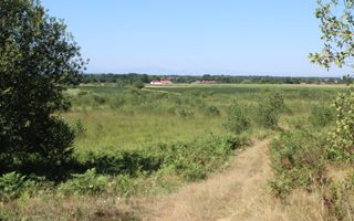 Teren extravilan de vânzare | Arpașu de Sus | 3100 mp - Poză 4