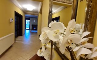 Poziție de top în Dumbravita - Poză 14