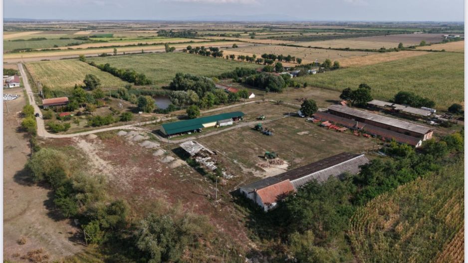 Spatiu multifunctional Salonta - Poză 1