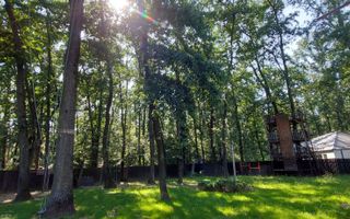 Vanzare - Vila individuala | 5 camere | Piscina | Padure | Corbeanca - Poză 10