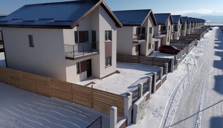 IosiComConstruct | Cartier Izvor