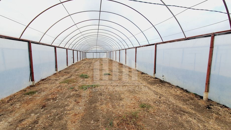 Ferma de vanzare in apropiere de Alba Iulia - Oportunitate de Investitie - Poză 10