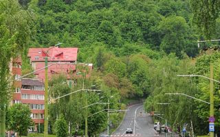 Dobrogeanu Gherea- garsoniera + anexa,bloc tip vila - Poză 1