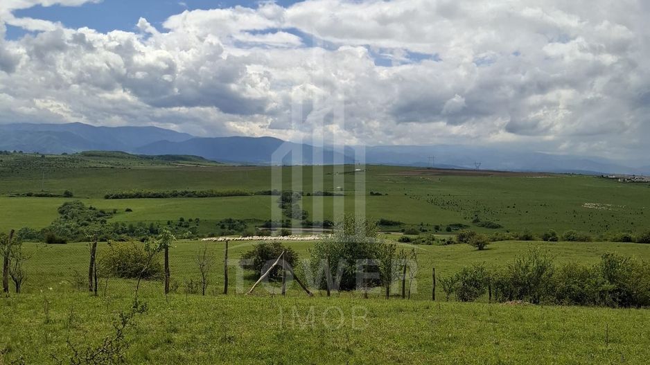 De vanzare, teren 11.500 mp – Dealul Dăii,  Vedere panoramică spre munți și lac - Poză 7