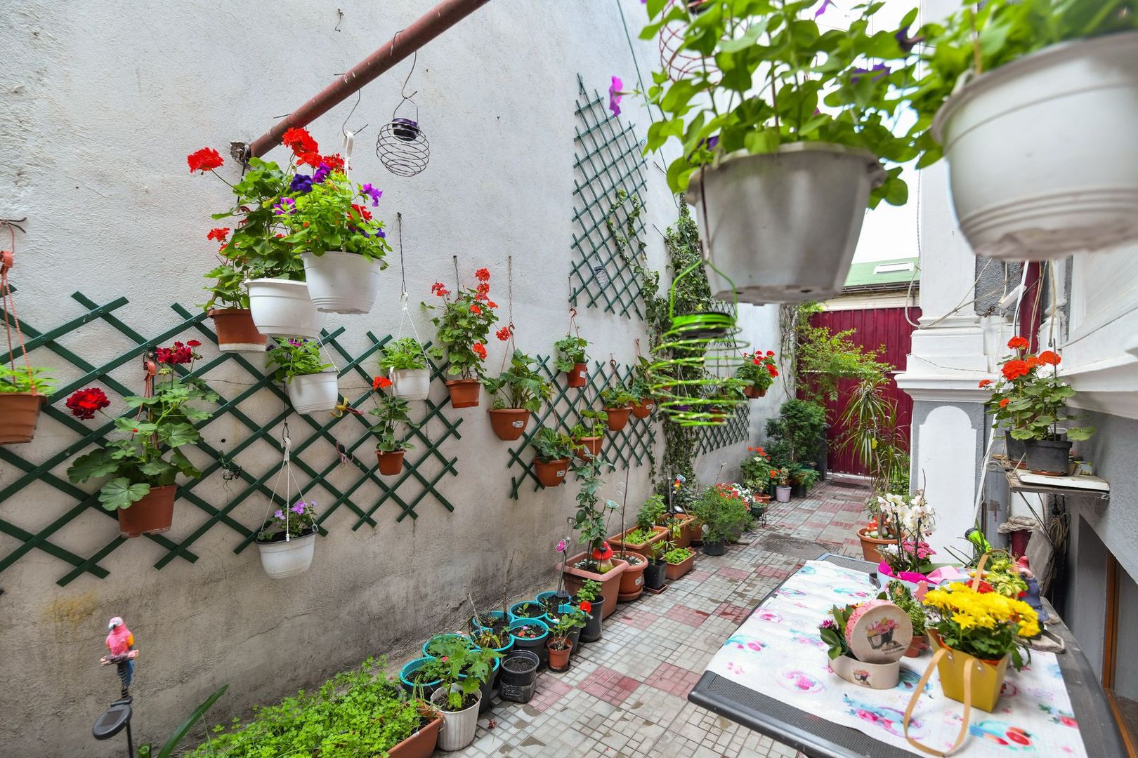 Casa individuală | Strada Plantelor | Curte proprie - Poză 3