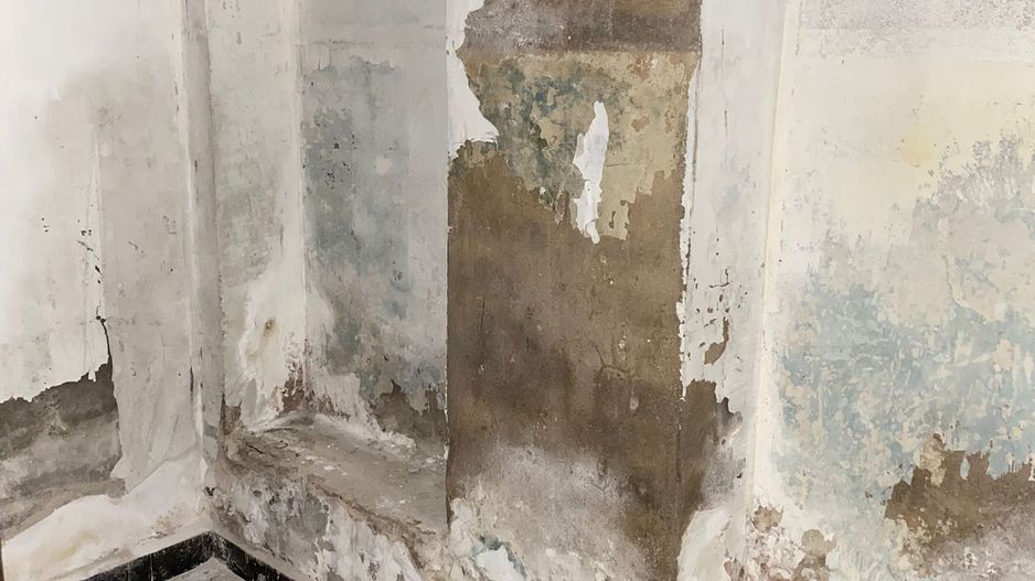 De Vanzare Vila Interbelica, 8-10 Camere, Romana - Zodiac - Poză 23