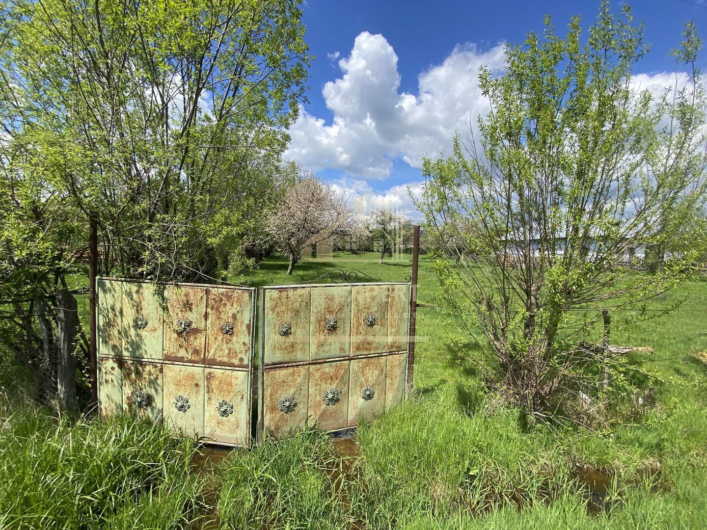 CASA CU TEREN 4000 MP, LA 5 MINUTE DE CENTRU CAMPULUNG - Poză 4