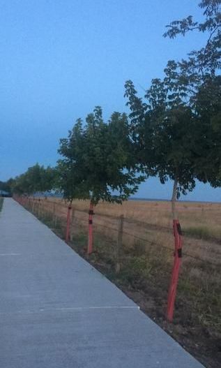 5.000 mp pe faleză în Costinești | Autorizație Resort inclusă - Poză 5