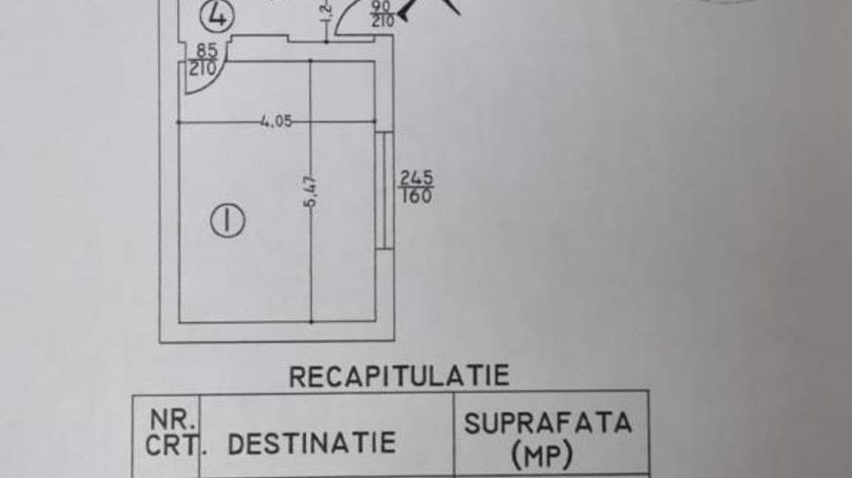APARTAMENT DOROBANTI CAPITALE | LONDRA | CENTRALA - Poză 7
