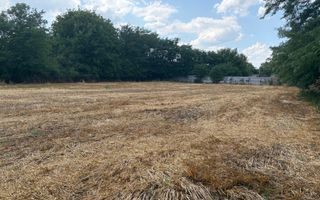 Teren intravilan 2580 mp - Hagiesti - Poză 2