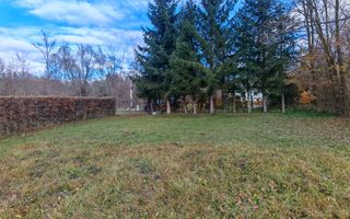 Teren de vanzare în reprezentare exclusivă, situat pe Valea Avrigului! - Poză 2