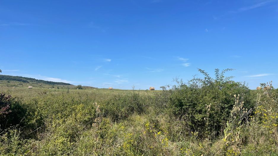 Teren Intravilan | Padureni | Investiție | 27000 mp - Poză 4