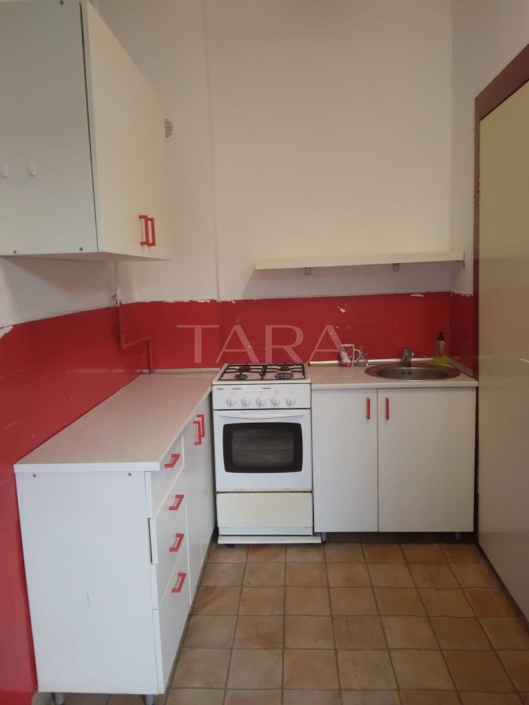Apartament cu 1 Cameră și Curte – Gruia, Zonă de Case - Poză 5