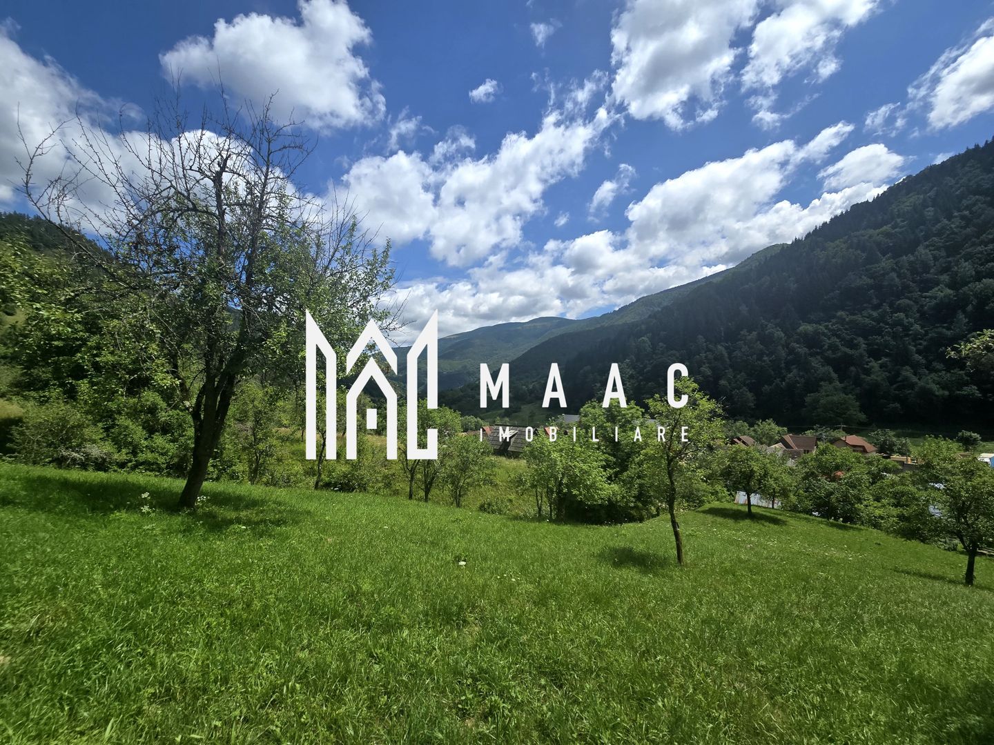 Teren | 2946MP | Priveliște Panoramică | Râu Sadului - Poză 5