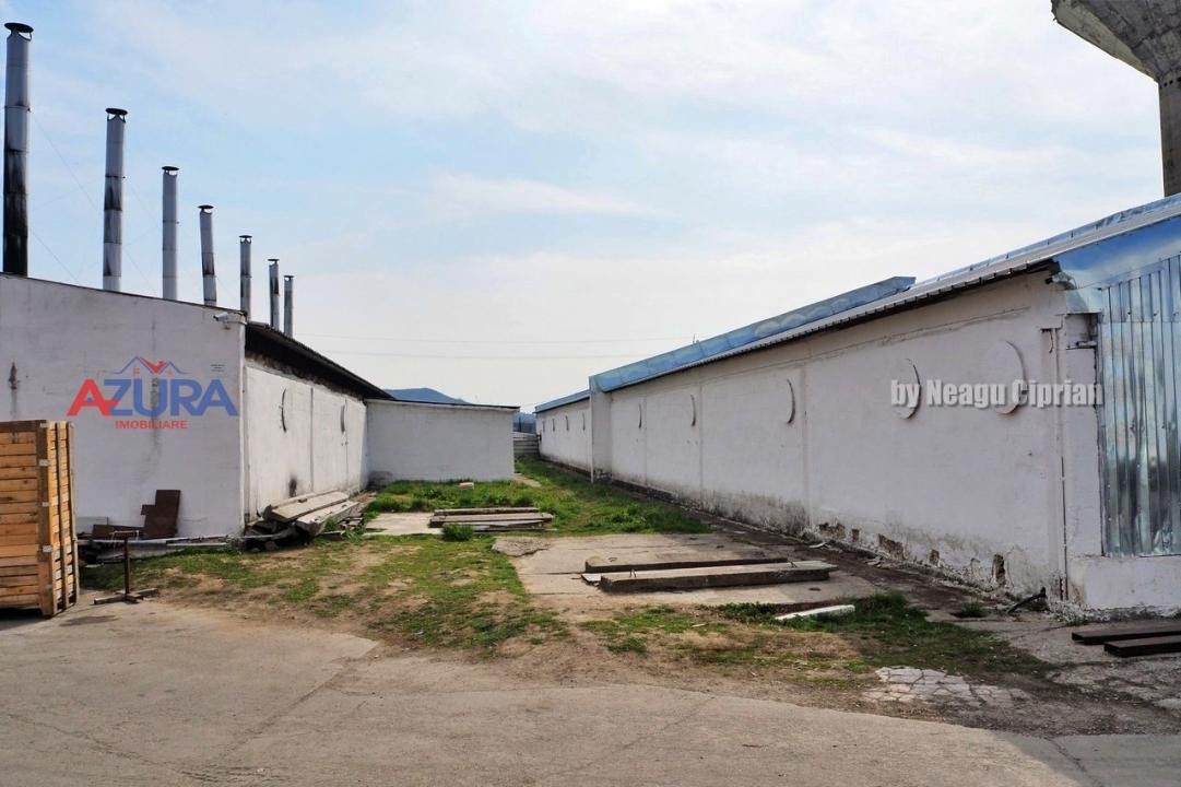 COMISION 0% - HALE Calinesti Arges - Poză 27