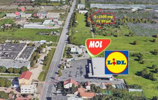 De Vanzare Teren Inravilan Gradiste Arad FS 50ml PUZ bloc S1+S2+P+10E.