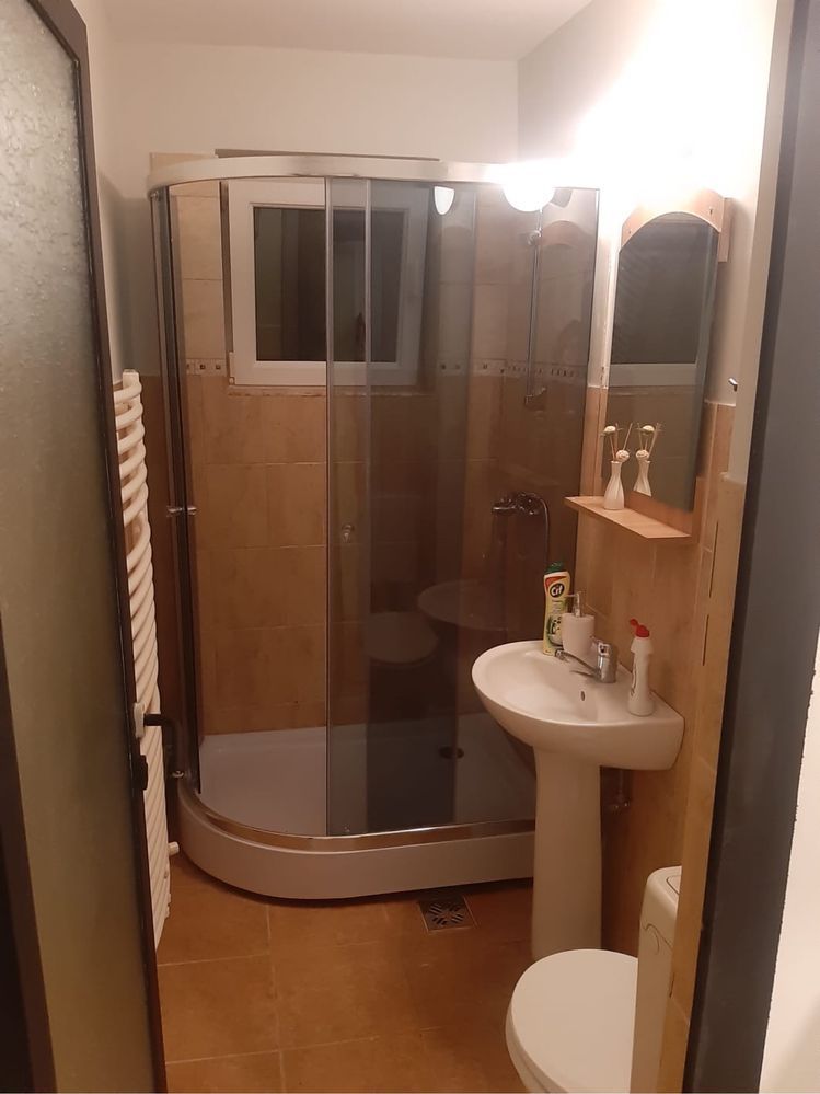 Apartament cu 2 camere de inchiriat in zona Cetate - Poză 7