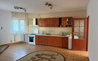 Casă spațioasă pe malul lacului Ezareni, zona Valea Adâncă, Miroslava – de închiriat - Poză 11