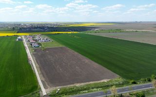 COM 0% Teren industrial pretabil hale, servicii | DN69 Sanandrei - Poză 3