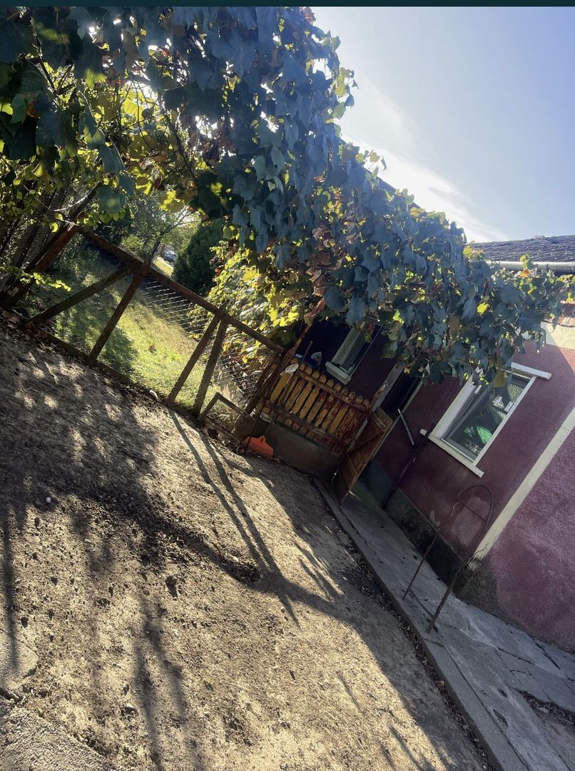 Casa de vanzare in Ianculesti - Poză 8