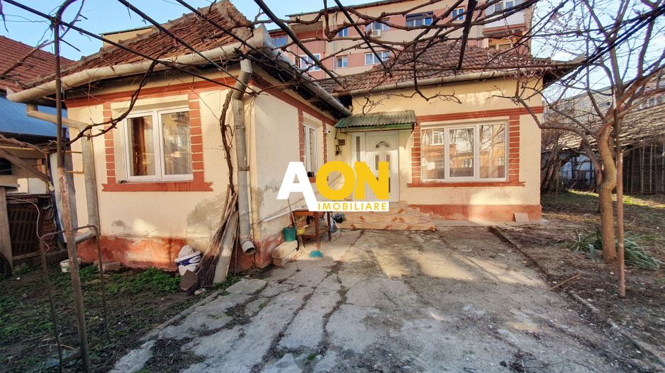 Casa cu 2 camere, 300 mp teren, Cetate - Poză 9