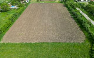 Teren Intravilan de 3,090 mp în Cuvin - Poză 19