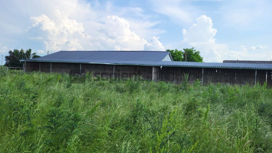 FERMA ZOOTEHNICA DE VANZARE - Poză 5