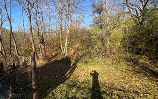 Teren langa pădure 6400mp+casa demolabila-deschidere 35 ml - Poză 4