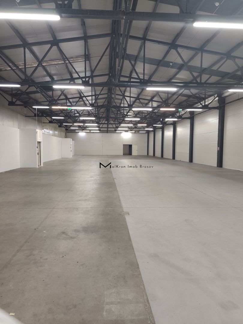 Hala de inchiriat Brasov - Poză 3