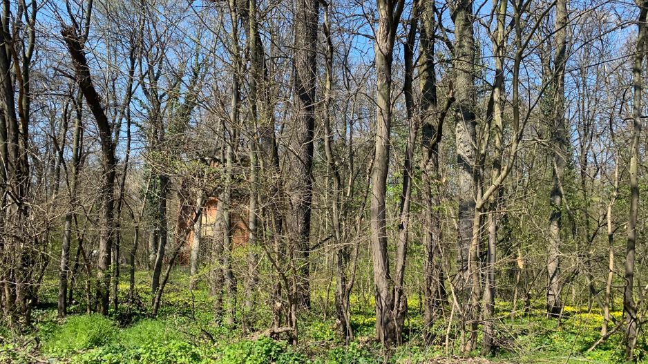 192842 mp teren in Padurea Baneasa proiect exclusivist - Poză 7