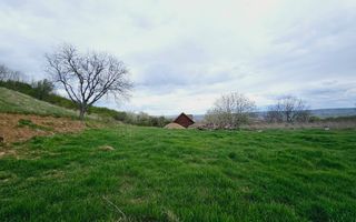 Teren intravilan de vanzare, Seigau - Poză 3