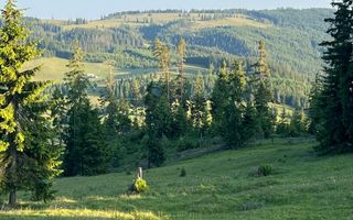 50 hectare teren | Moldova-Sulita | Potential turistic si agricol - Poză 10