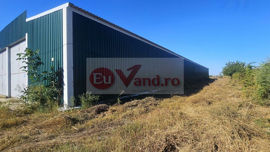 Hala 1.533 mp cu teren 5.000 mp – Vanatori, zona Maylo - Poză 16