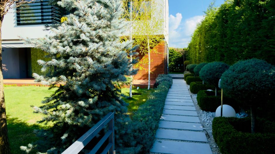 Casa / Vila Amber Gardens | Tunari | 6 camere | Otopeni - Poză 45