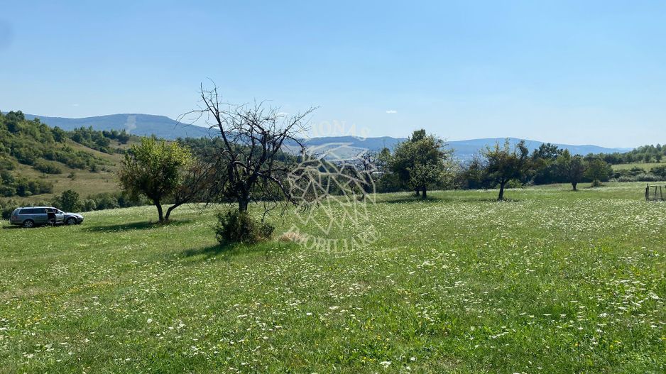 Teren 11.000 mp-ideal cabana/ferma-Unirea-Valea Slatinitei - Poză 2