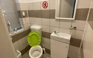 Casa zona Lipovei - Poză 13
